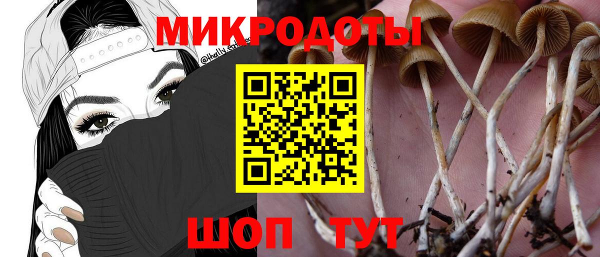 где продают наркотики  Псилоцибиновые грибы Psilocybine cubensis  Псилоцибиновые грибы Psilocybine cubensis  Вход с VPN  Луховицы 